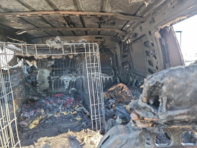 Фото 10 - CADILLAC ESCALADE