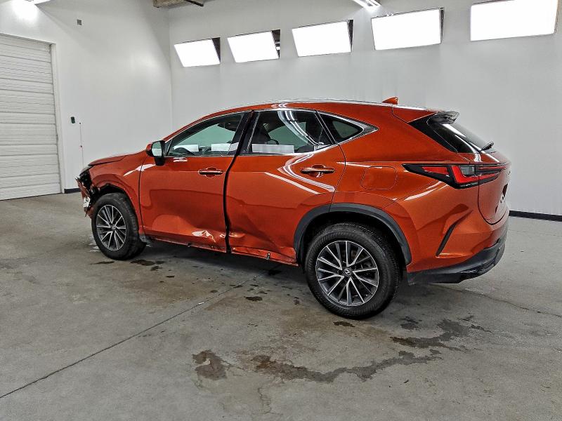 LEXUS NX 250 2023 VIN 2T2GDCAZ1PC003051