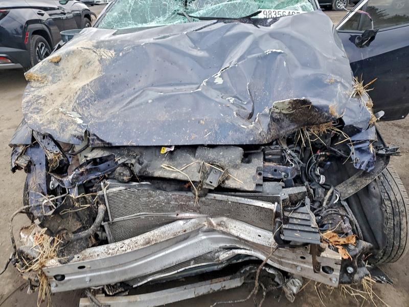 TOYOTA RAV4 2019 VIN JTMDWRFV8KD028907