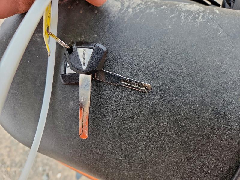 KAWASAKI EX650 P 2025