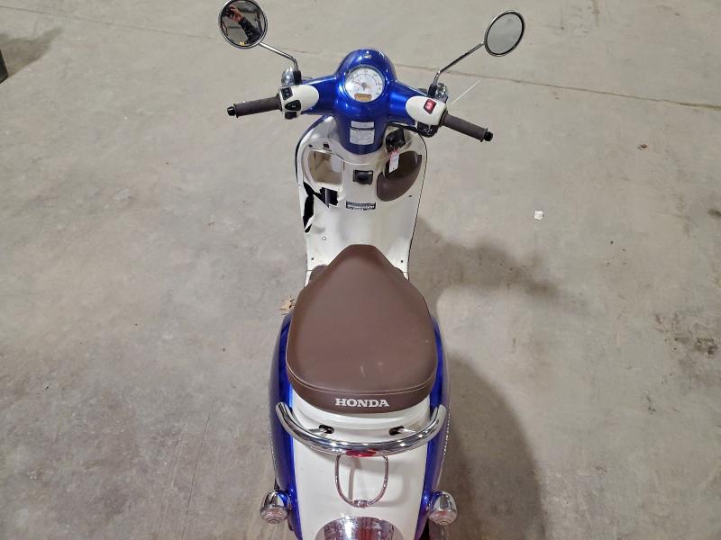HONDA CHF50 2023