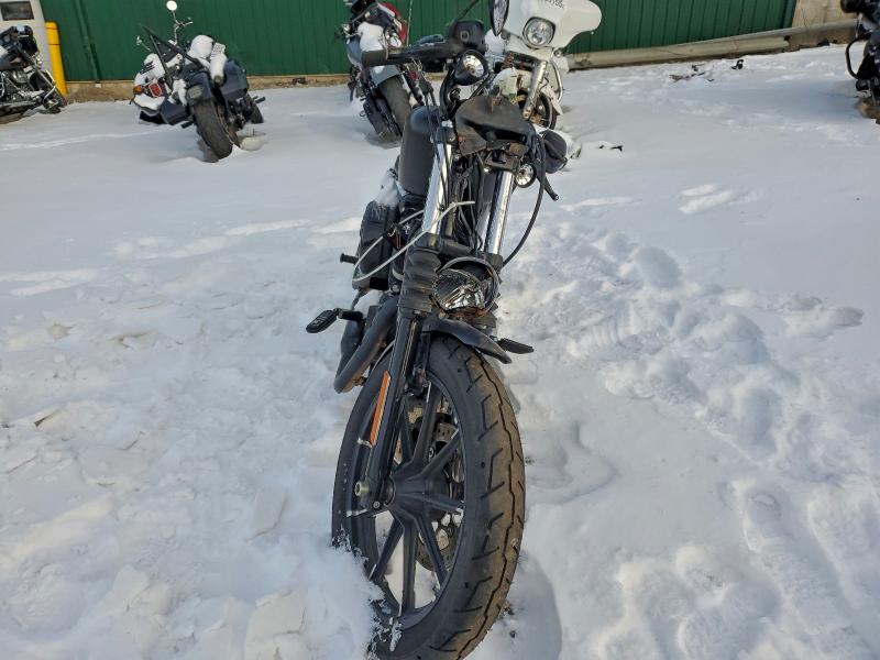 HARLEY-DAVIDSON XL883 N 2021