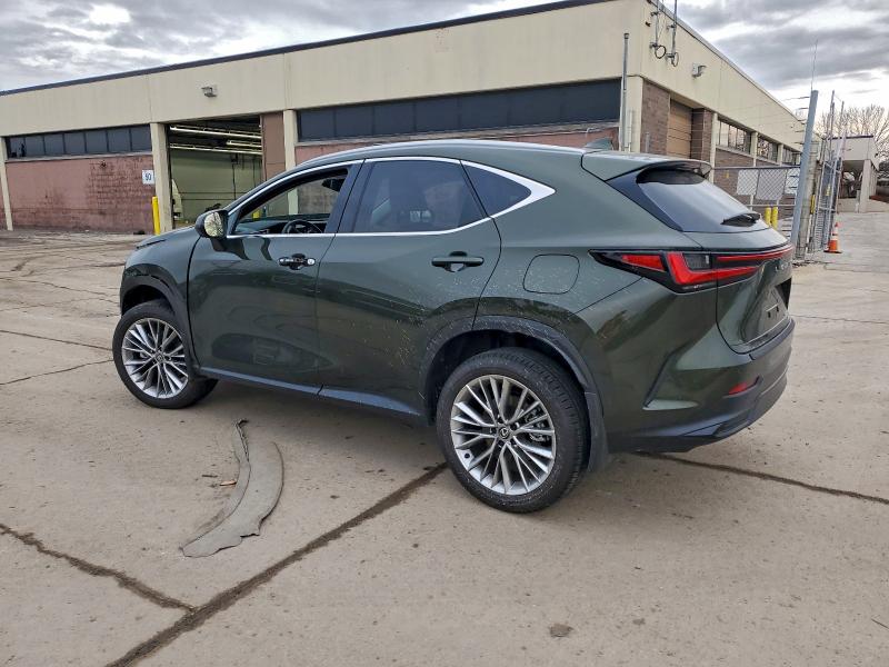 LEXUS NX 350 LUX 2025 VIN 2T2HGCEZ3SC090840