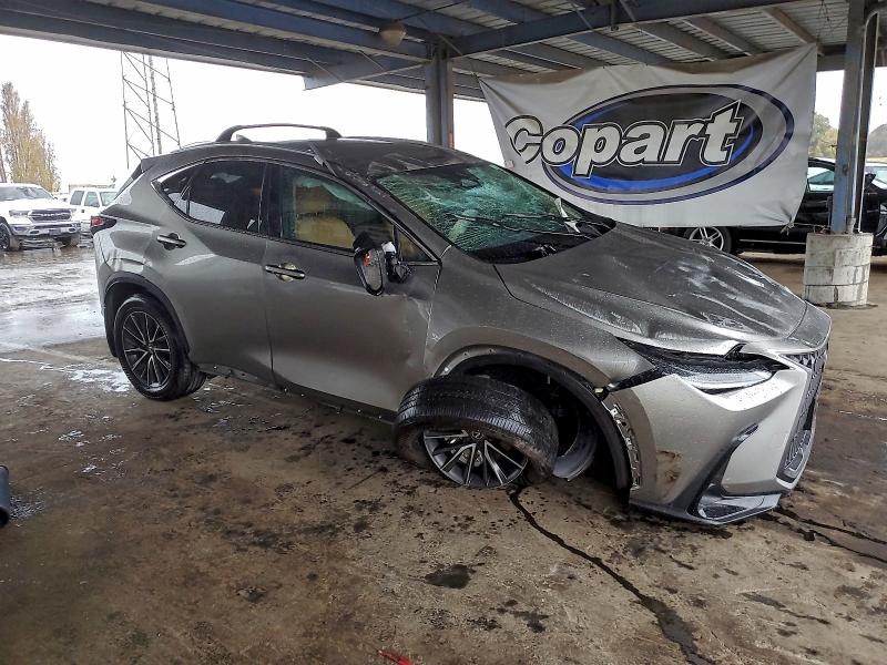 LEXUS NX 250 BAS 2024 VIN 2T2ADCAZ7RC008375