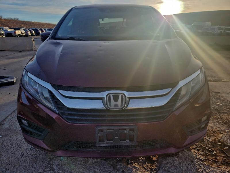 Фото 5 - HONDA All Models