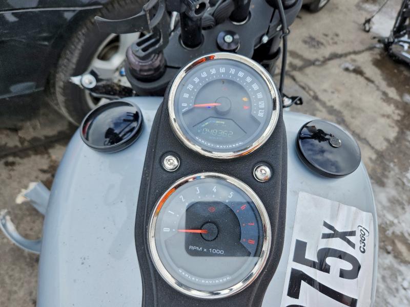 HARLEY-DAVIDSON FXLRS 2020