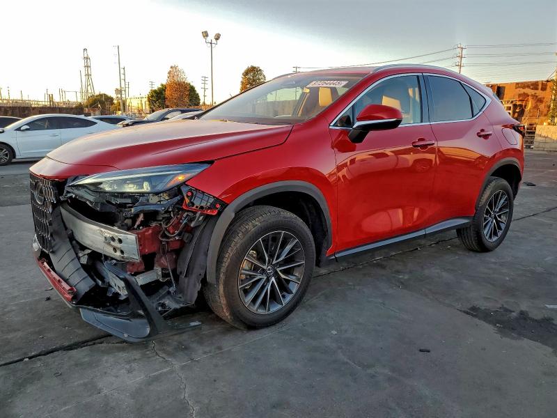LEXUS NX 250 BAS 2024 VIN 2T2ADCAZ3RC014657