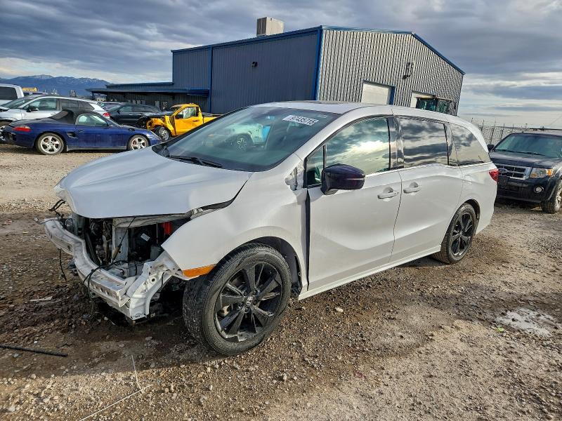 HONDA ODYSSEY SP 2024 VIN 5FNRL6H70RB031010