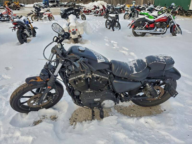 HARLEY-DAVIDSON XL883 N 2021