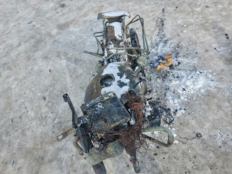 HARLEY-DAVIDSON FLHTCUI 10 2008