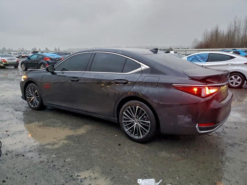 LEXUS ES300 2025 VIN 58ADA1C12SU060502