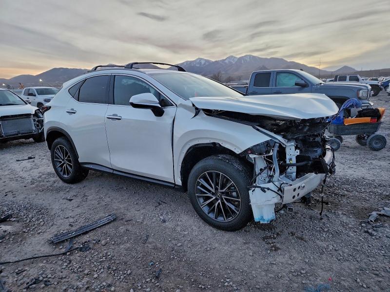 LEXUS NX 350H 2023 VIN JTJAKCEZ7P2013041