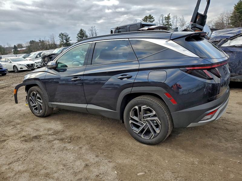 HYUNDAI TUCSON 2025 VIN KM8JEDD13SU367935