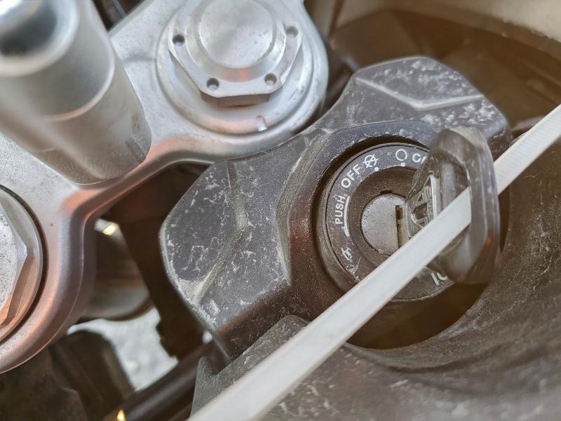 TRIUMPH TIGER 900 2021