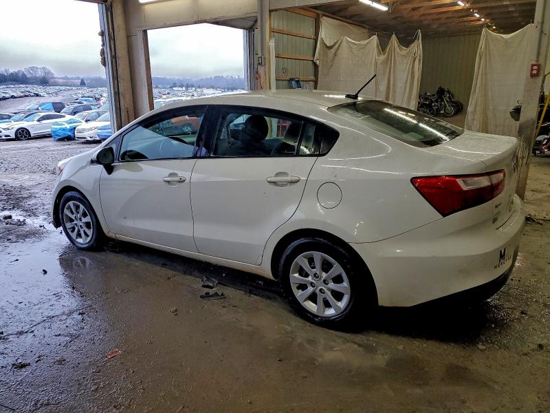 Фото 2 - KIA RIO