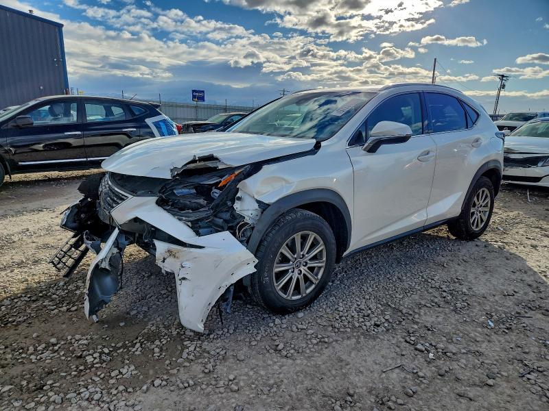 Фото 1 - LEXUS NX