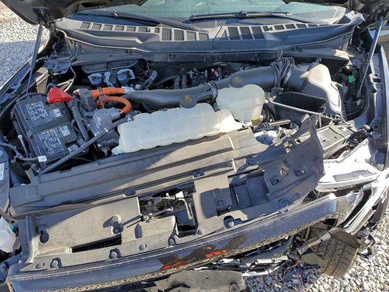 FORD F150 LARIA 2025 VIN 1FTFW5LD4SFA21048