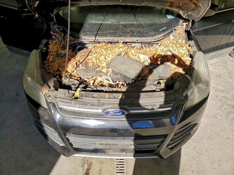 Фото 11 - FORD ESCAPE