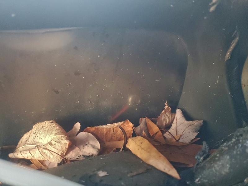 Фото 9 - GMC ACADIA