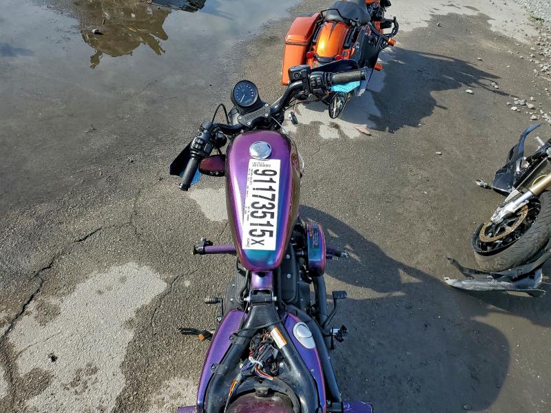 HARLEY-DAVIDSON XL883 N 2021