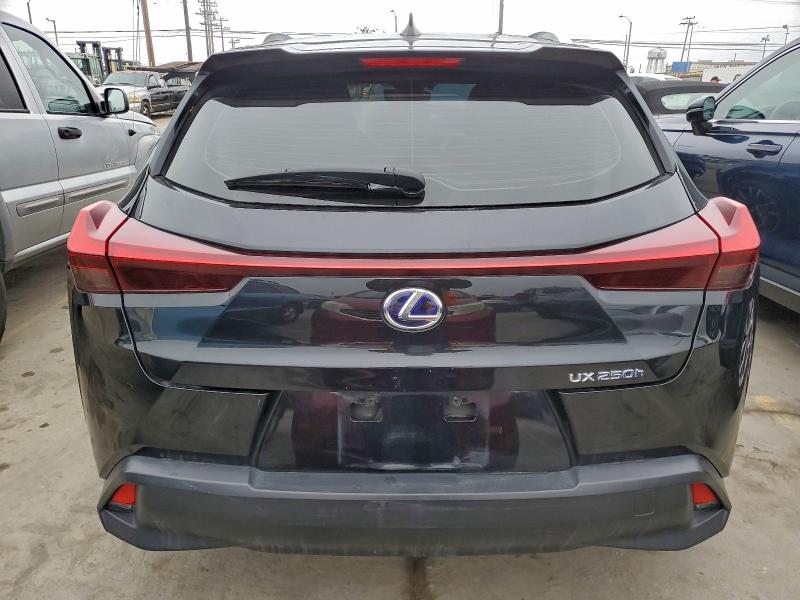 LEXUS UX 250H 2019 VIN JTHU9JBH7K2015620