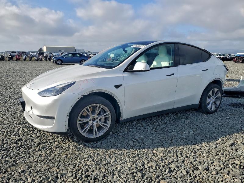 Фото 1 - TESLA MODEL Y