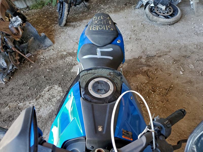 SUZUKI GSX800 F 2024