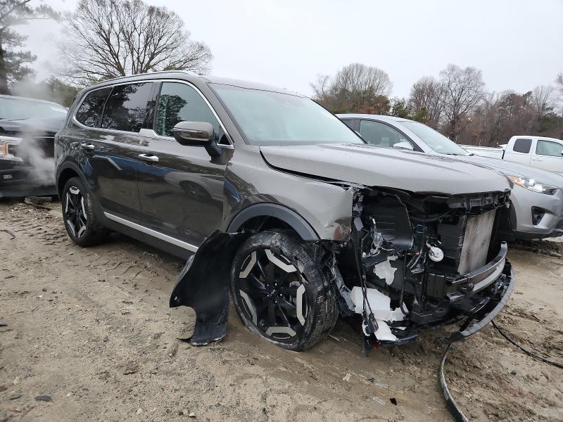 Фото 4 - KIA TELLURIDE