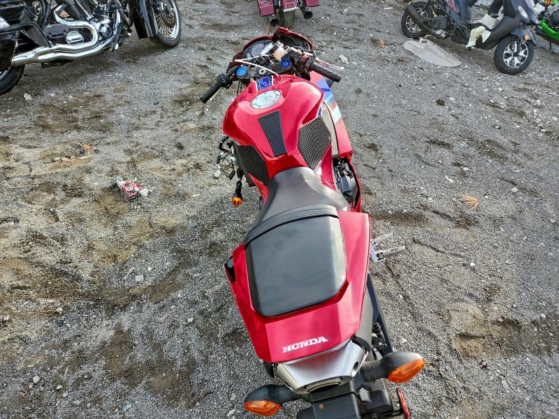 HONDA CBR CYCLE 2024