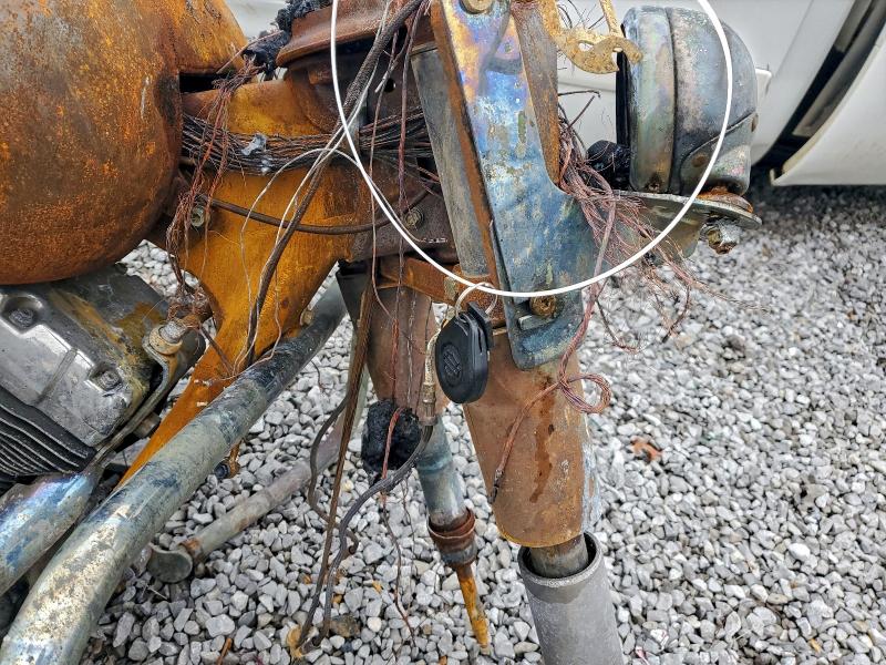 HARLEY-DAVIDSON FL 2009