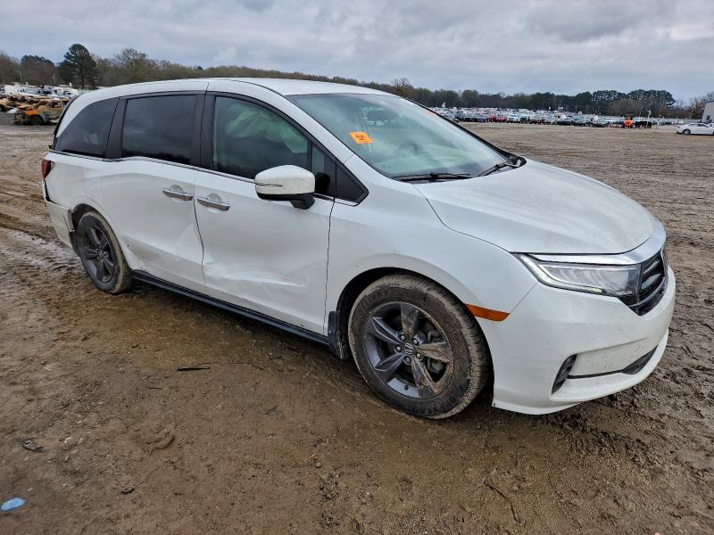 Фото 4 - HONDA All Models