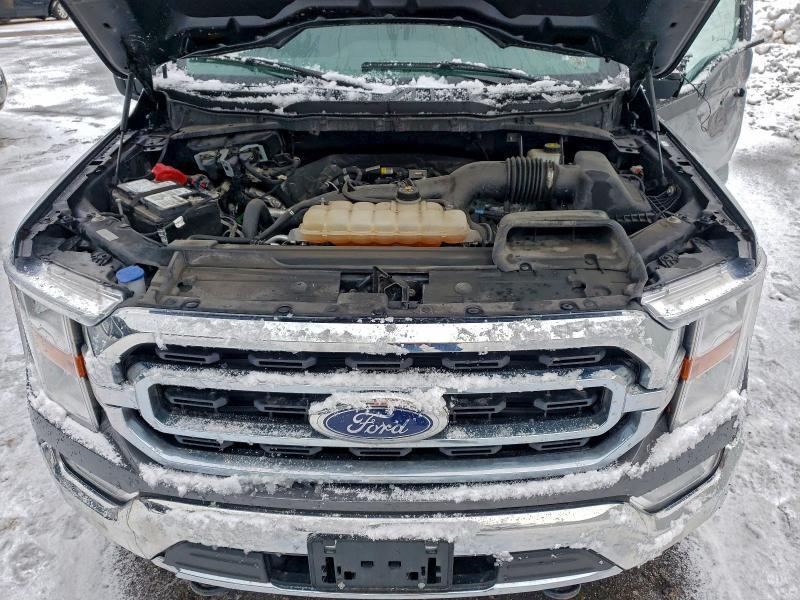 Фото 11 - FORD F-150