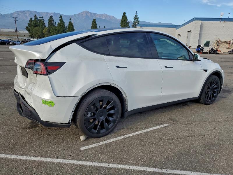 Фото 3 - TESLA MODEL Y