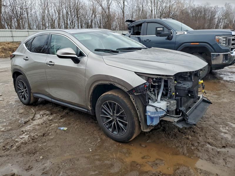 LEXUS NX 350 PRE 2024 VIN 2T2GGCEZ0RC051984