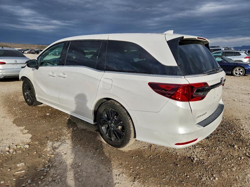 HONDA ODYSSEY SP 2024 VIN 5FNRL6H70RB031010