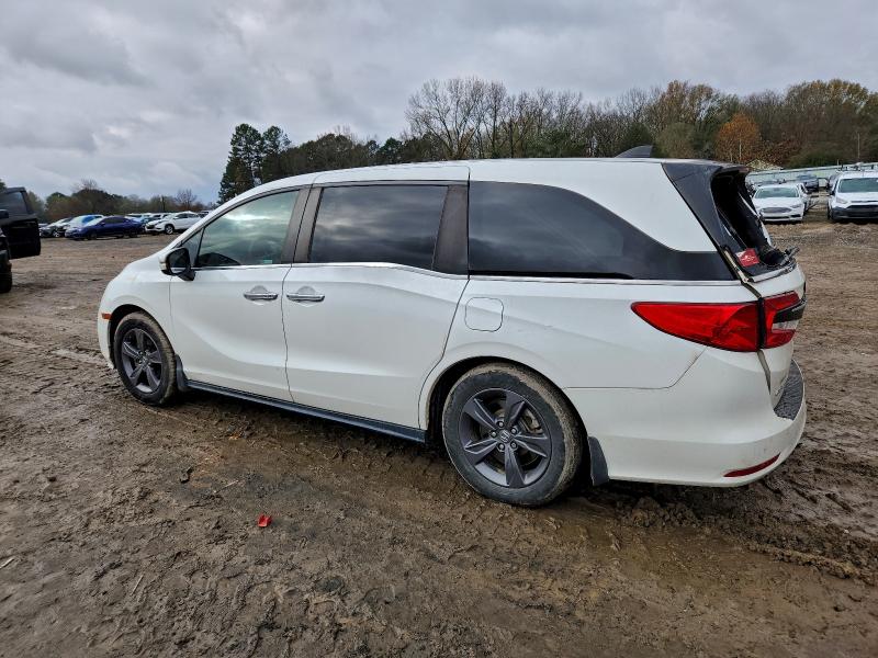 Фото 2 - HONDA All Models