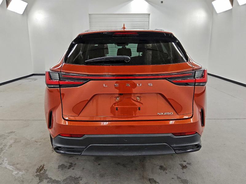 LEXUS NX 250 2023 VIN 2T2GDCAZ1PC003051