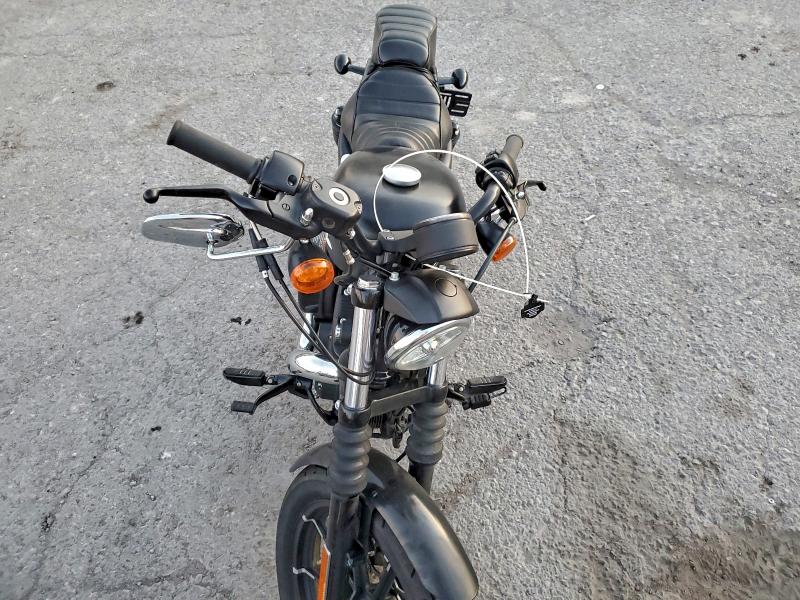 HARLEY-DAVIDSON XL883 N 2022