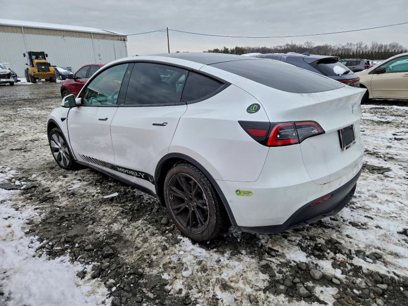 Фото 2 - TESLA MODEL Y