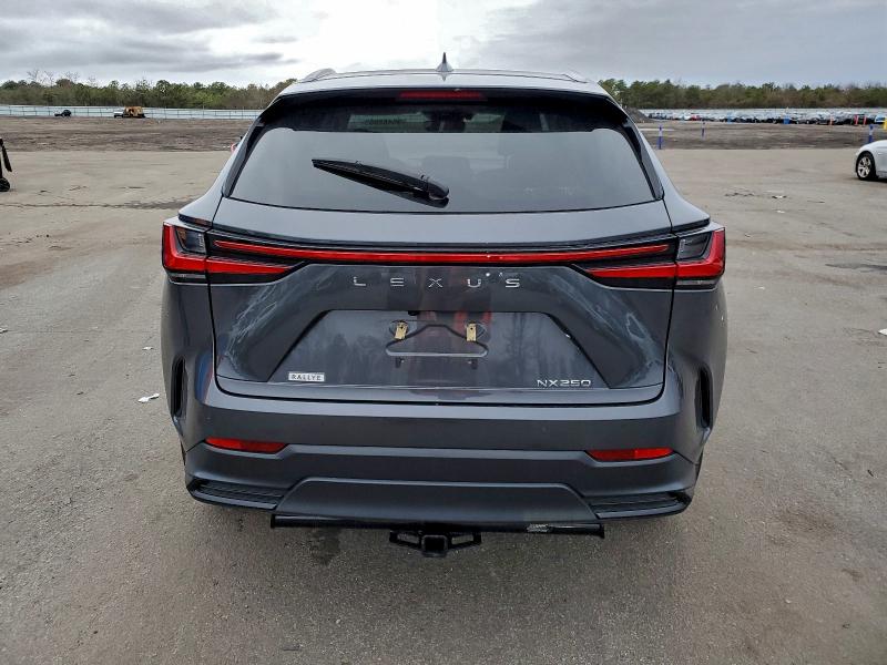 LEXUS NX 250 2023 VIN 2T2GDCAZ4PC004016