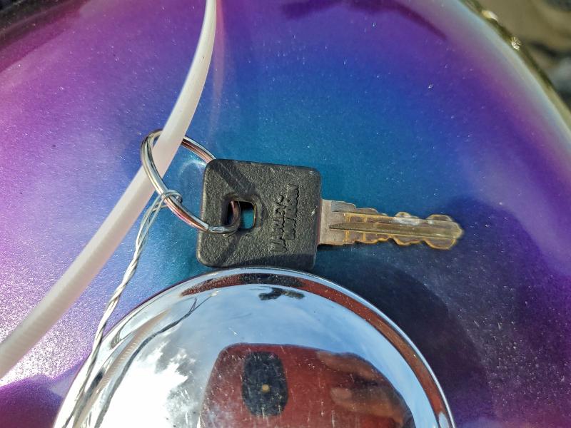 HARLEY-DAVIDSON XL883 N 2021