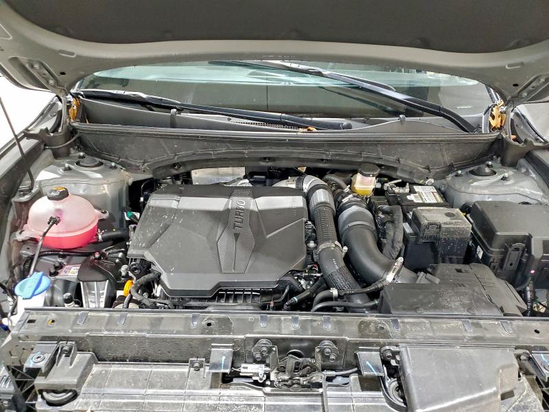 HYUNDAI SANTA CRUZ 2024 VIN 5NTJEDAF4RH086608