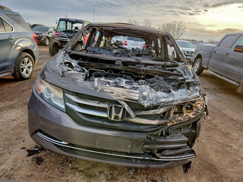 Фото 5 - HONDA All Models