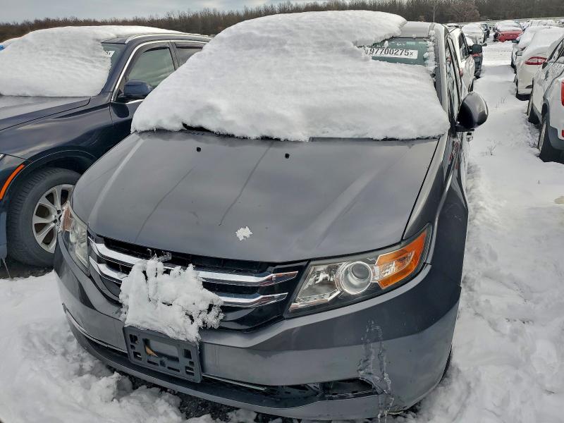 Фото 5 - HONDA All Models