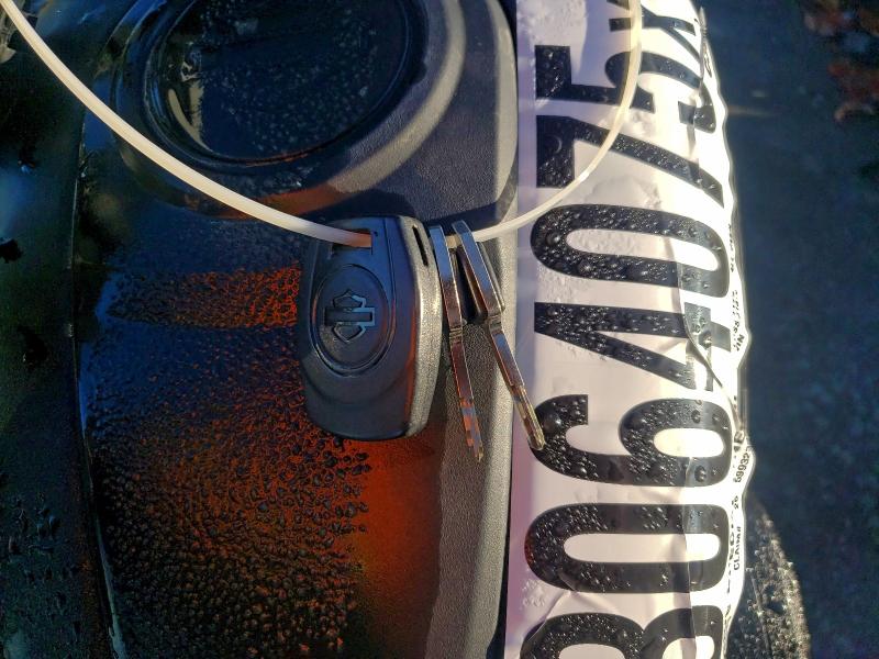 HARLEY-DAVIDSON RH975 S 2024