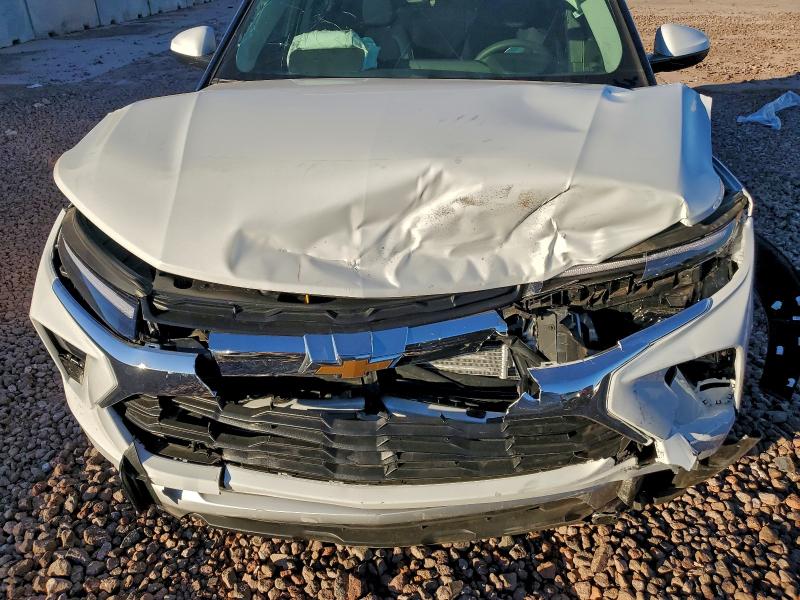 Фото 11 - CHEVROLET TRAILBLZR