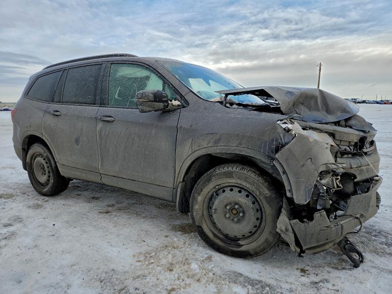 Фото 4 - HONDA PILOT