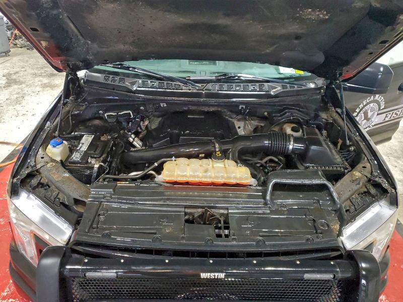 Фото 11 - FORD F-150