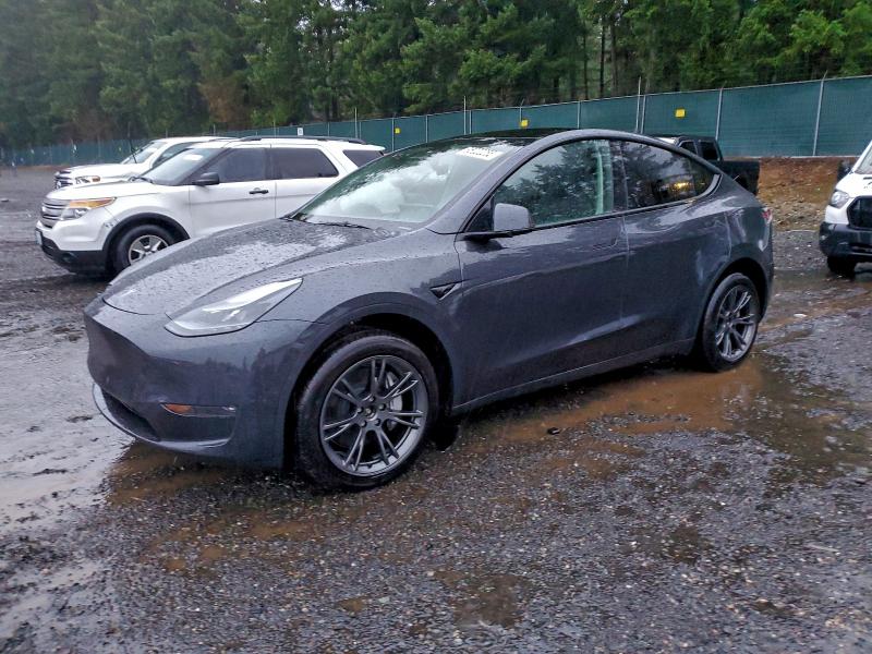 Фото 1 - TESLA MODEL Y