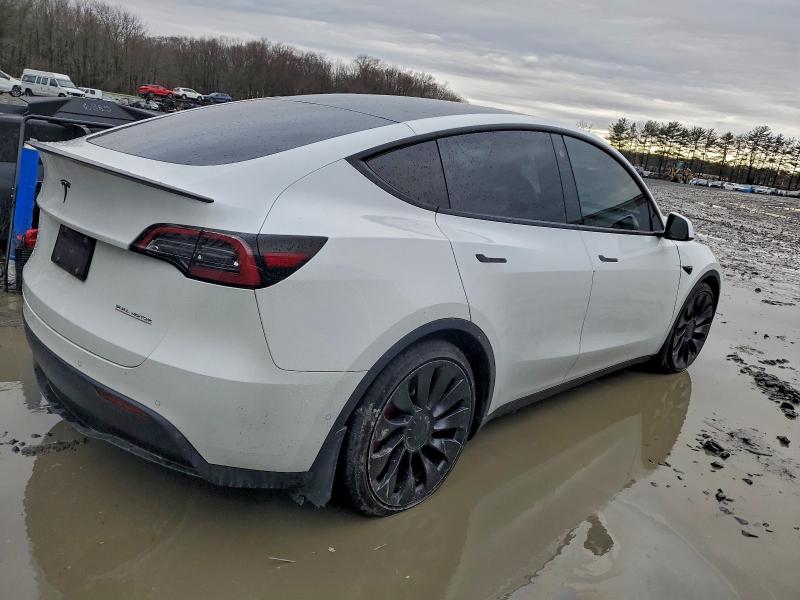 Фото 3 - TESLA MODEL Y
